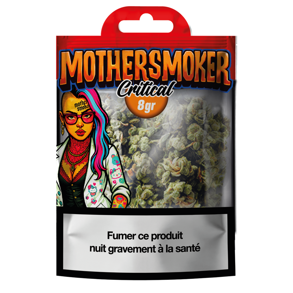 MOTHER SMOKER - Critical