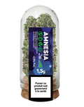 Amnesia Boite de 6