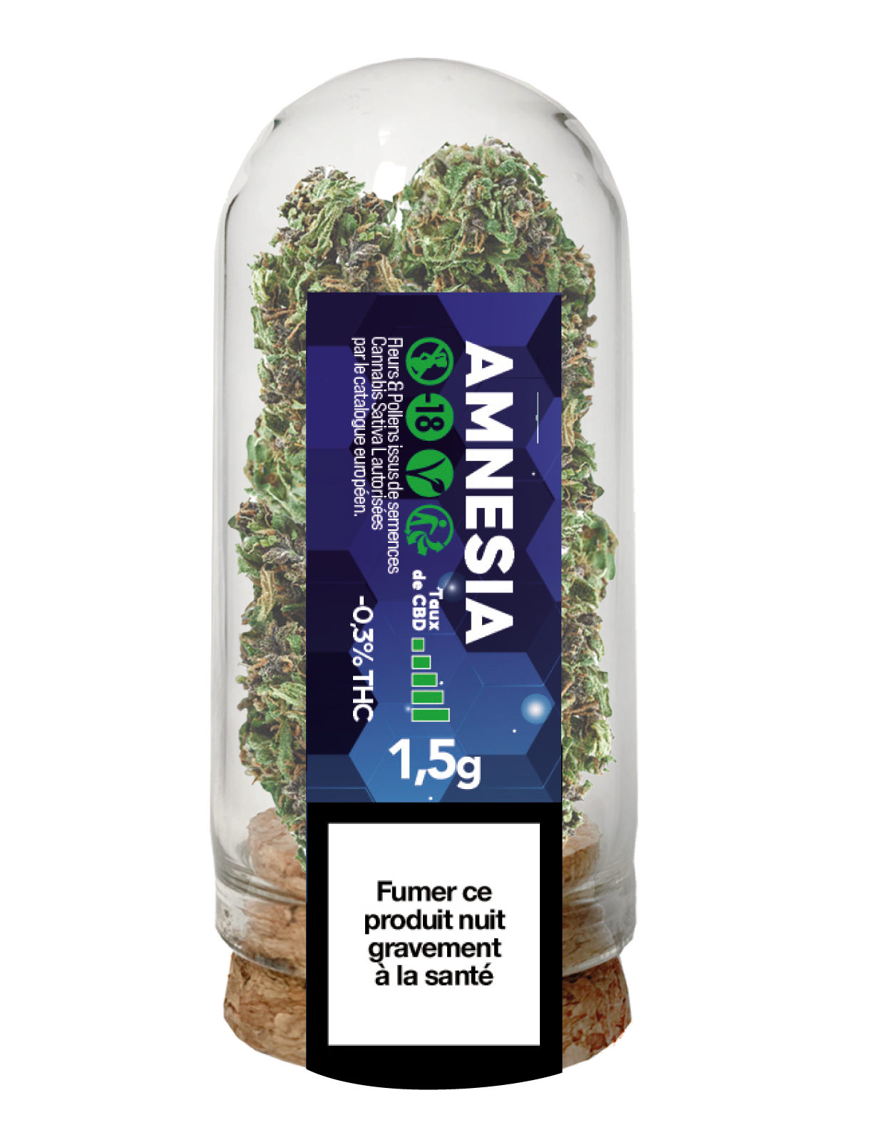 Amnesia Boite de 6
