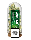 Lemon Haze Boite de 6