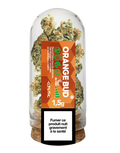 Orange Bud Boite de 6