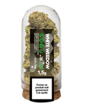 White Weedow Boite de 6