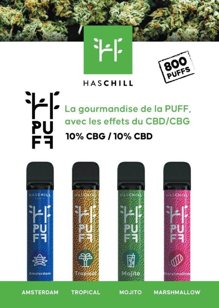 Les meilleures Puff CBD 800 Bouffées Haschill 🌱